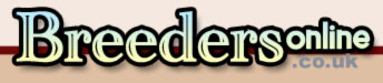 uk dog breeder 