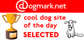 cool dog sites